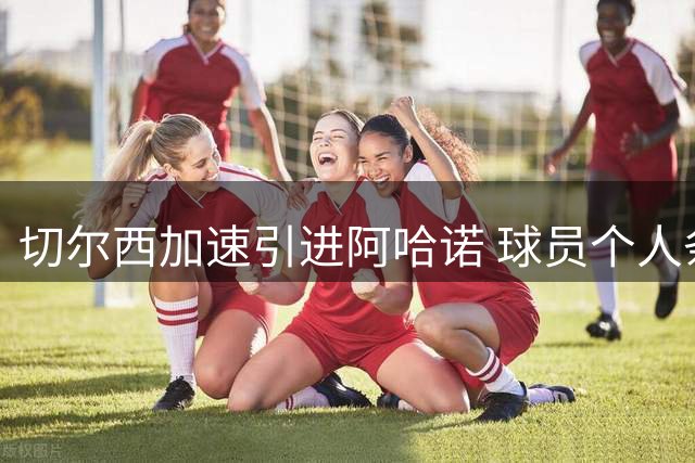 切尔西加速引进阿哈诺 球员个人条款已谈妥