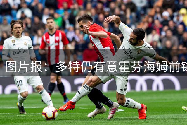 图片报：多特仍有意霍芬海姆前锋阿斯拉尼，存在锋线补强需求